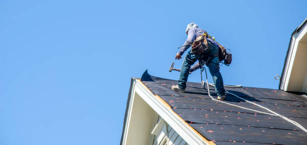 Professional Roofing Contractor in Pierson, FL